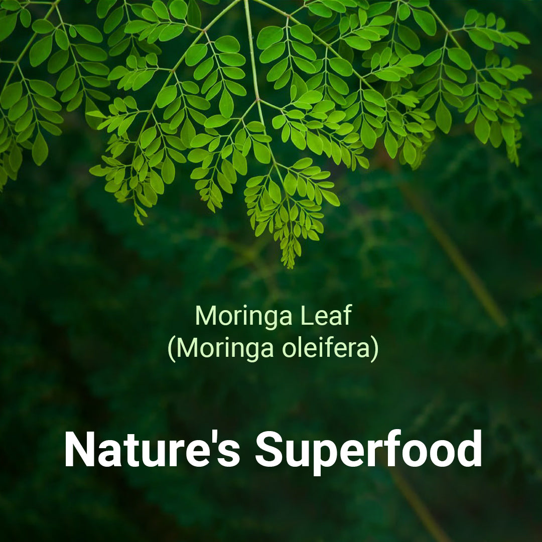 Superfood Green Powder